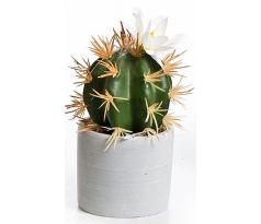 Kaktus v betónovom kvetináči 03368 biely