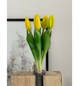 Zväzok tulipánov Prémium 5x 28cm žltý