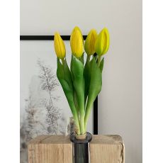 Zväzok tulipánov Prémium 5x 28cm žltý