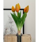 Zväzok tulipánov Prémium 5x 28cm oranžový