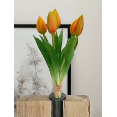 Zväzok tulipánov Prémium 5x 28cm oranžový