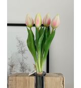 Zväzok tulipánov Prémium 5x 28cm ružový