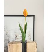 Oranžovo-červený tulipán Prémium 40cm