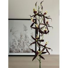 Umelá orchidea 03945 hnedo bordová 108cm