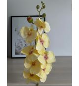 Orchidea VIP2035/10 100cm žltá