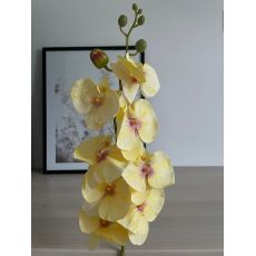 Orchidea VIP2035/10 100cm žltá