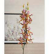 Umelá orchidea 03945 oranžovo ružová 108cm