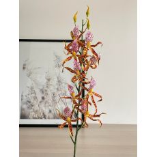 Umelá orchidea 03945 oranžovo ružová 108cm