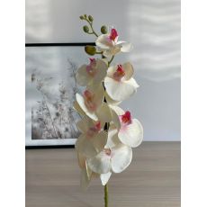 Orchidea VIP2035/17 100cm krémovo-rúžová