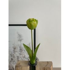 Tulipán gumový K04038 zelený 44cm