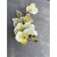 Vetvička orchidea 638L-02 žlto-zelená 75cm