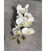 Vetvička orchidea 638L-02 bielo-žltá 75cm