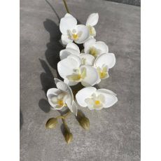 Vetvička orchidea 638L-02 bielo-žltá 75cm