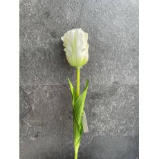 Tulipán 17101 60cm