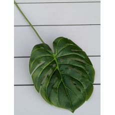 List MONSTERA 54x20cm 006BB