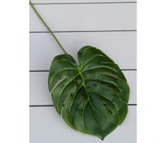 List MONSTERA 54x20cm 006BB