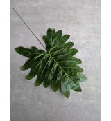 Vetvička Filodendron 103 43x23cm zelena