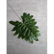 Vetvička Filodendron 103 43x23cm zelena