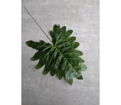 Vetvička Filodendron 103 43x23cm zelena