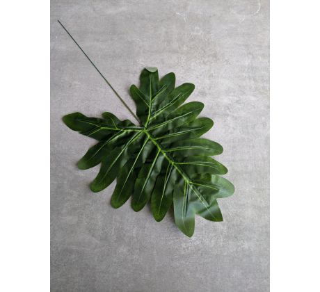 Vetvička Filodendron 103 43x23cm zelena