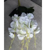 Kytica Orchidea 213A 57cm bielo-krémová